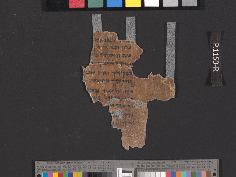 4Q Psalms h (Scan 2) showing Psalms 118:21 from Late 1st Century BC – Mid-1st Century AD found in Qumran, Cave 4, currently housed at Rockefeller Museum, Jerusalem